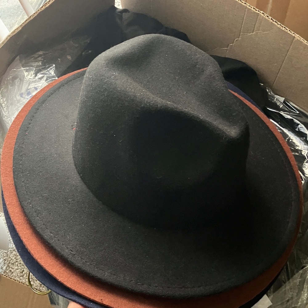 Black and Brown Fedora Hat